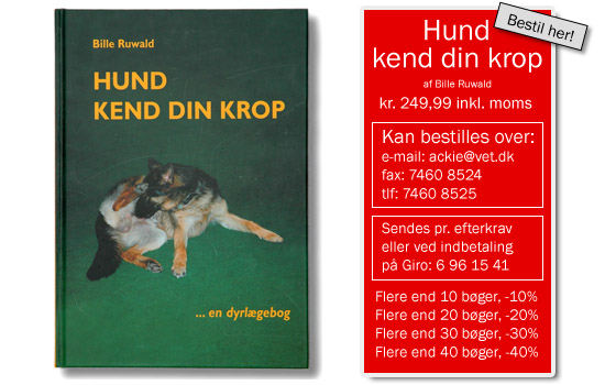 Hund Kend Din krop 